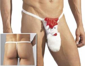 Santa briefs