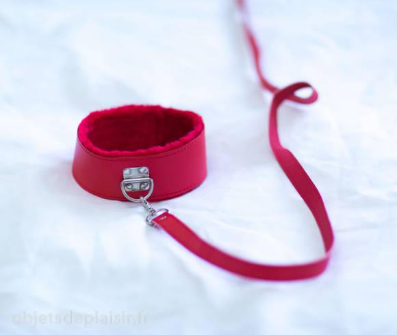leash and collar