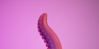 Petit Vice Howard: a tentacle dildo review