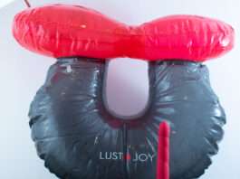 Loopy Bounce Lust & Joy : A sex toy that you ride