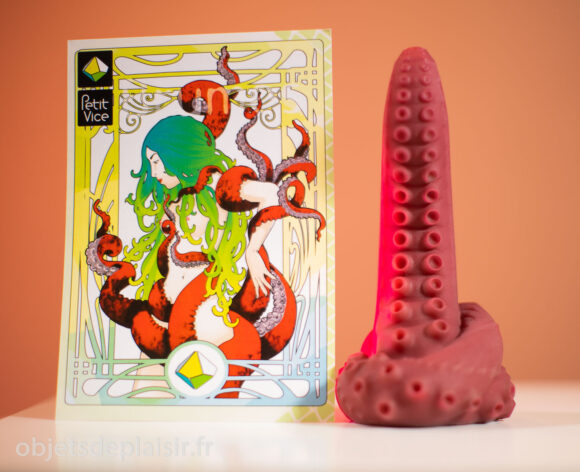 The Petit vice dildo and its presentation card