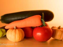 The Gemüse carrot vibrator, the Selfdelve eggplant dildo and real vegetables