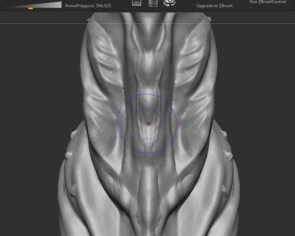 Making a silicone dildo: 3D design of the sex toy