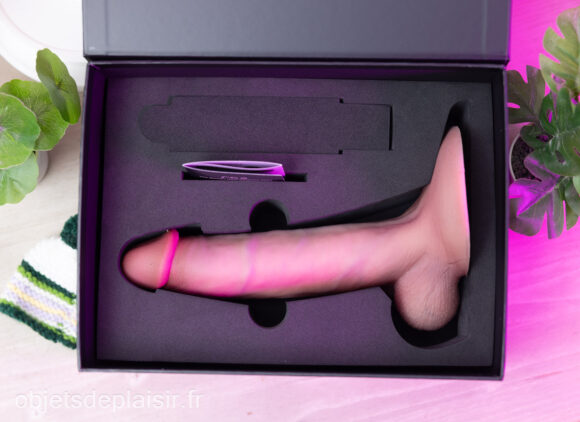 The RealDoll RC2 Max Premium in its packaging