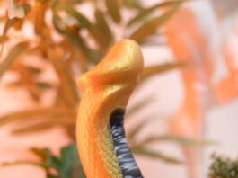 Test du gode Golden Mamba Creature Cocks